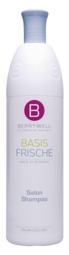 Berrywell Care Szalon sampon 1001ml