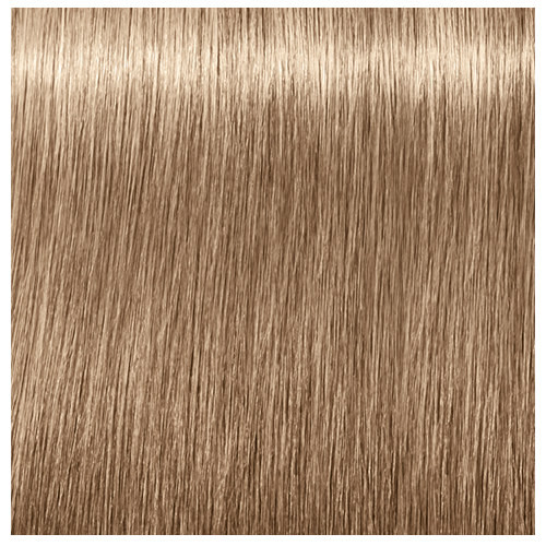 Igora Új Royal Absolutes hajfesték 60ml 8-140