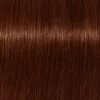Igora Új Royal Absolutes hajfesték 60ml 7-470