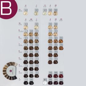 Berrywell hajfesték 1.00  60 ml