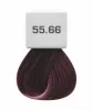 Berrywell hajfesték 55.66  60 ml
