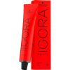 Igora Új Royal hajfesték 60ml 4-88