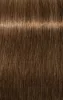 Igora Új Royal Absolutes hajfesték 60ml 7-450