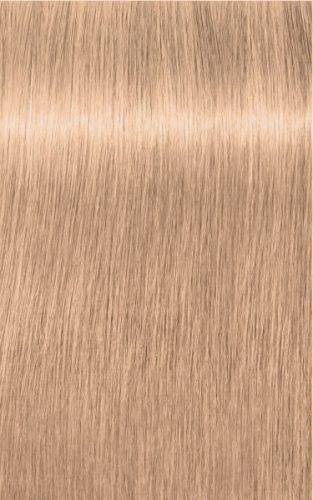 Igora Új Royal Highlifts hajfesték 60ml 10-19