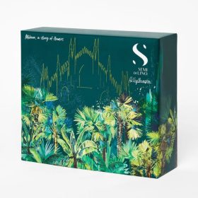 Semi di lino Reconstruction Holiday kit