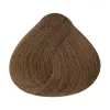 Alfaparf Evolution hajfesték 60ml 7.31