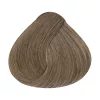 Alfaparf Evolution hajfesték 60ml 8.01