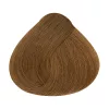Alfaparf Evolution hajfesték 60ml 8.3