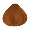 Alfaparf Evolution hajfesték 60ml 7.43