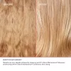 OLAPLEX Healthy Hair Discovery set (5db-os)