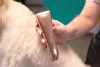 Wahl Animalline állatnyíró MOTIVA2 Rosegold 3028118