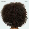 OLAPLEX Total Hair Repair Set