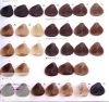 Alfaparf Evolution of the Color – Vopsea de păr permanentă 60ml